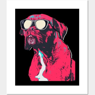 Cool Boxer Dog Wearing Sun Glasses Posters and Art